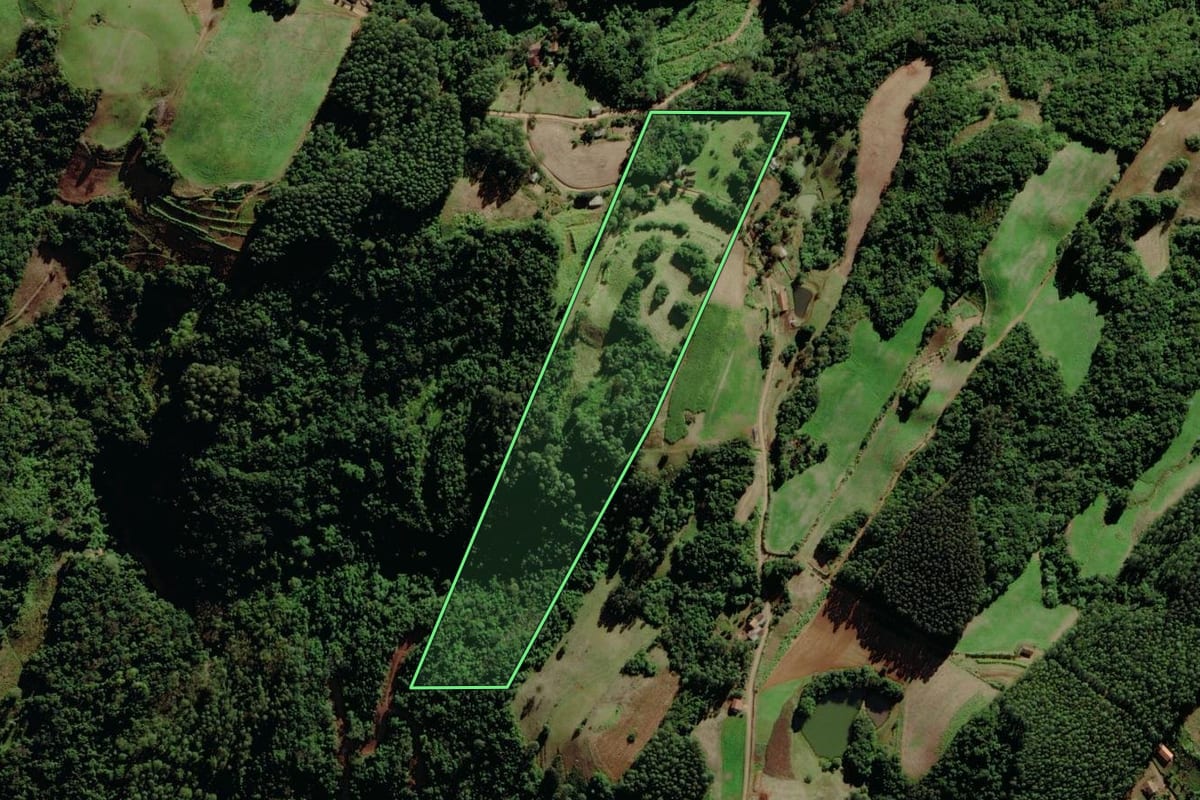 Imagem de satélite do imóvel rural em Santa Clara do Sul (RS), com o contorno declarado no CAR desenhado por cima.