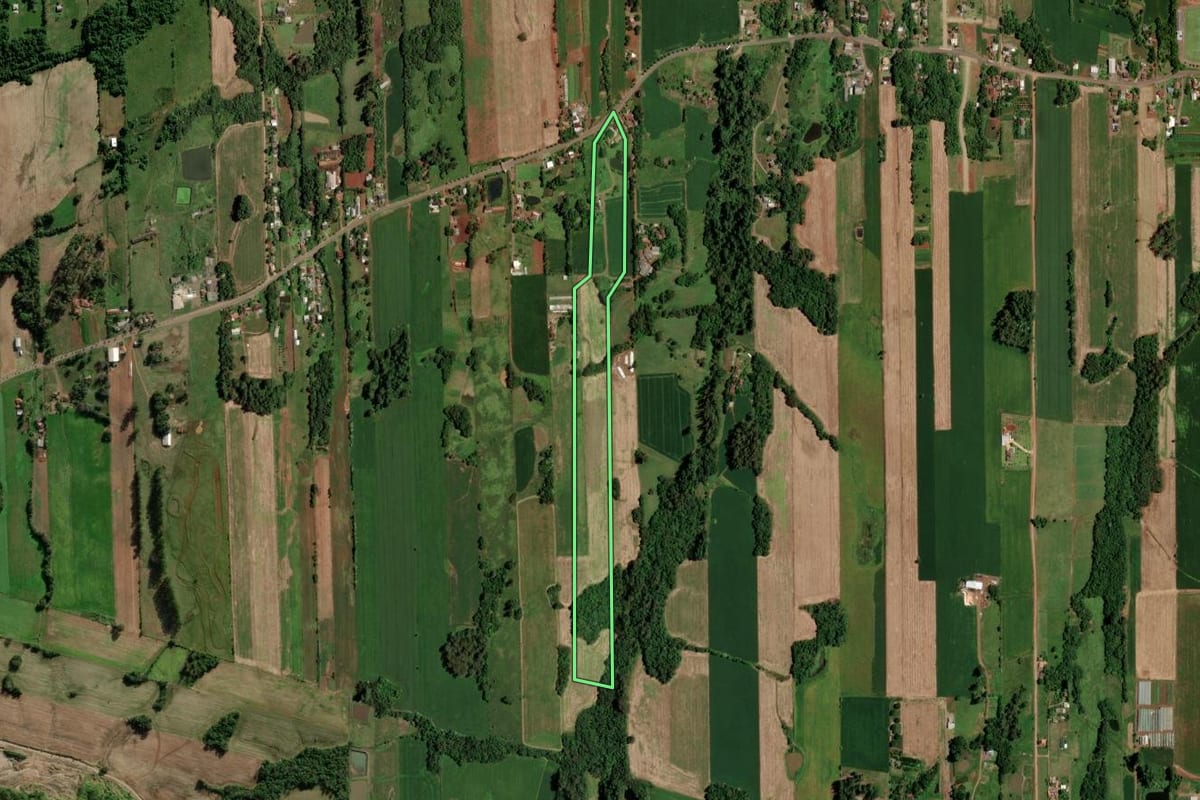 Imagem de satélite do imóvel rural em Santa Clara do Sul (RS), com o contorno declarado no CAR desenhado por cima.