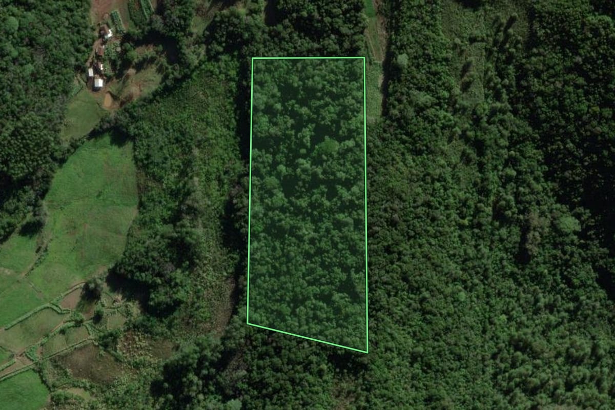 Imagem de satélite do imóvel rural em Santa Clara do Sul (RS), com o contorno declarado no CAR desenhado por cima.
