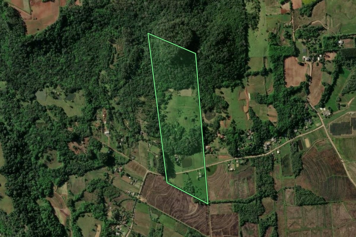 Imagem de satélite do imóvel rural em Santa Cruz do Sul (RS), com o contorno declarado no CAR desenhado por cima.