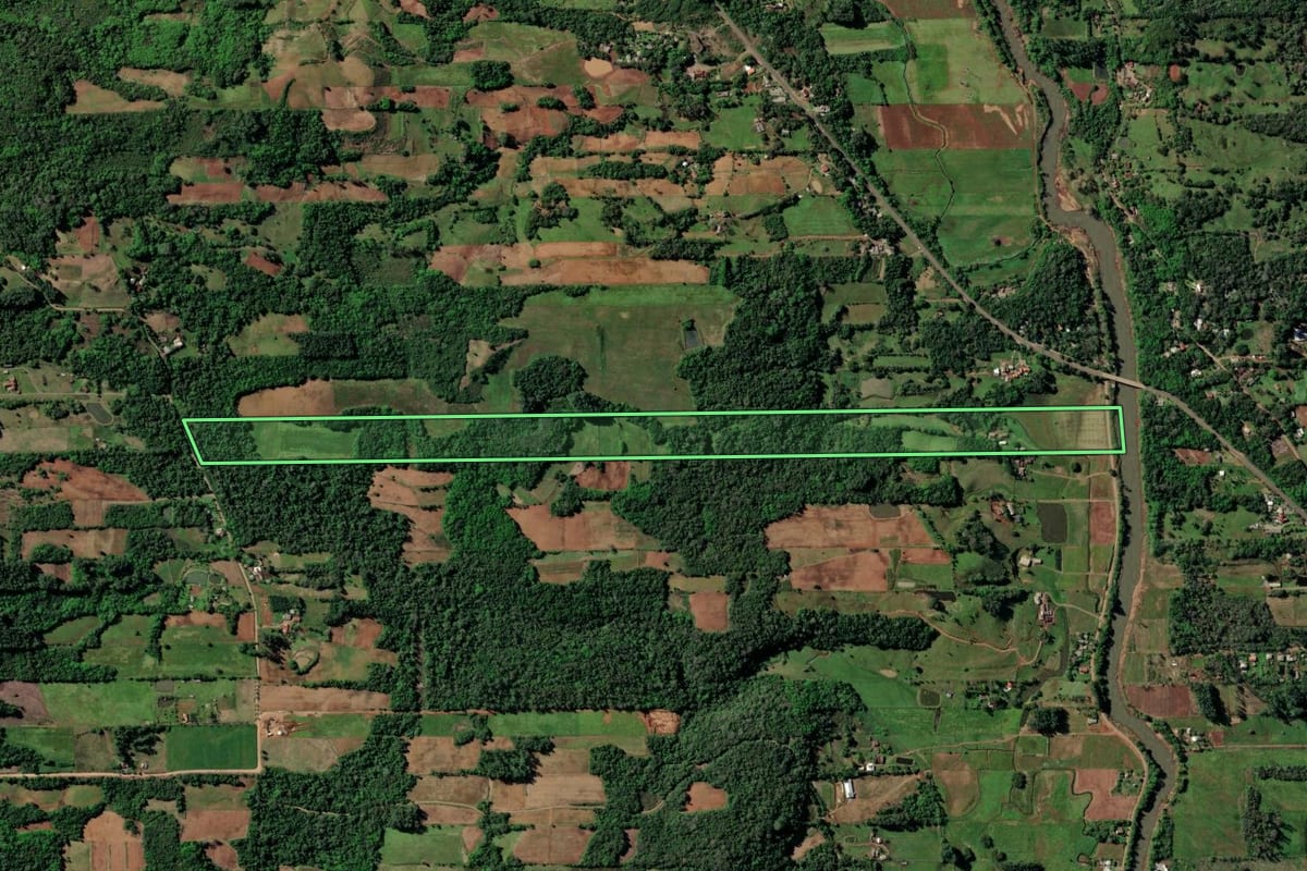 Imagem de satélite do imóvel rural em Santa Cruz do Sul (RS), com o contorno declarado no CAR desenhado por cima.