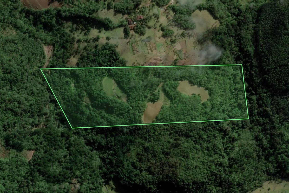 Imagem de satélite do imóvel rural em Santa Cruz do Sul (RS), com o contorno declarado no CAR desenhado por cima.