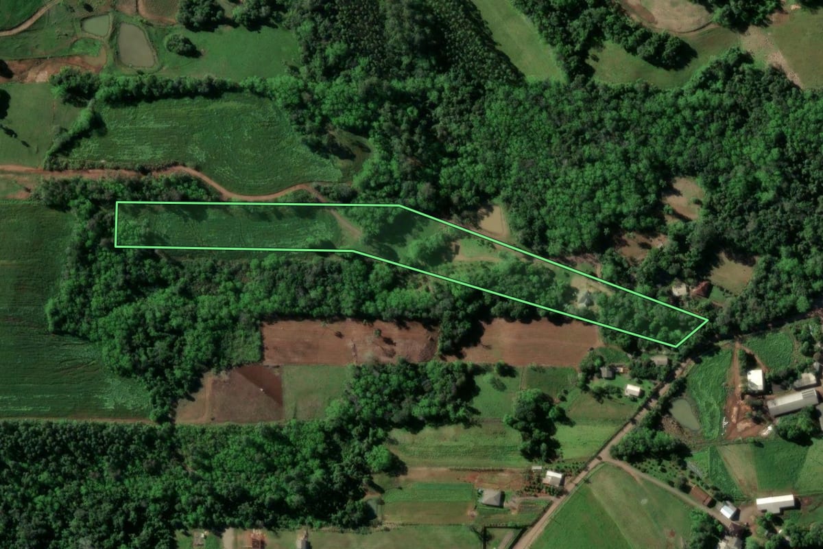 Imagem de satélite do imóvel rural em Santa Cruz do Sul (RS), com o contorno declarado no CAR desenhado por cima.