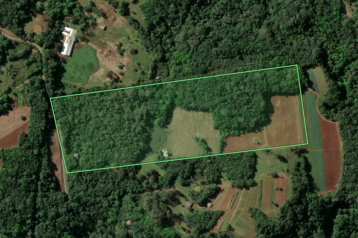 Imagem de satélite do imóvel rural em Santa Cruz do Sul (RS), com o contorno declarado no CAR desenhado por cima.