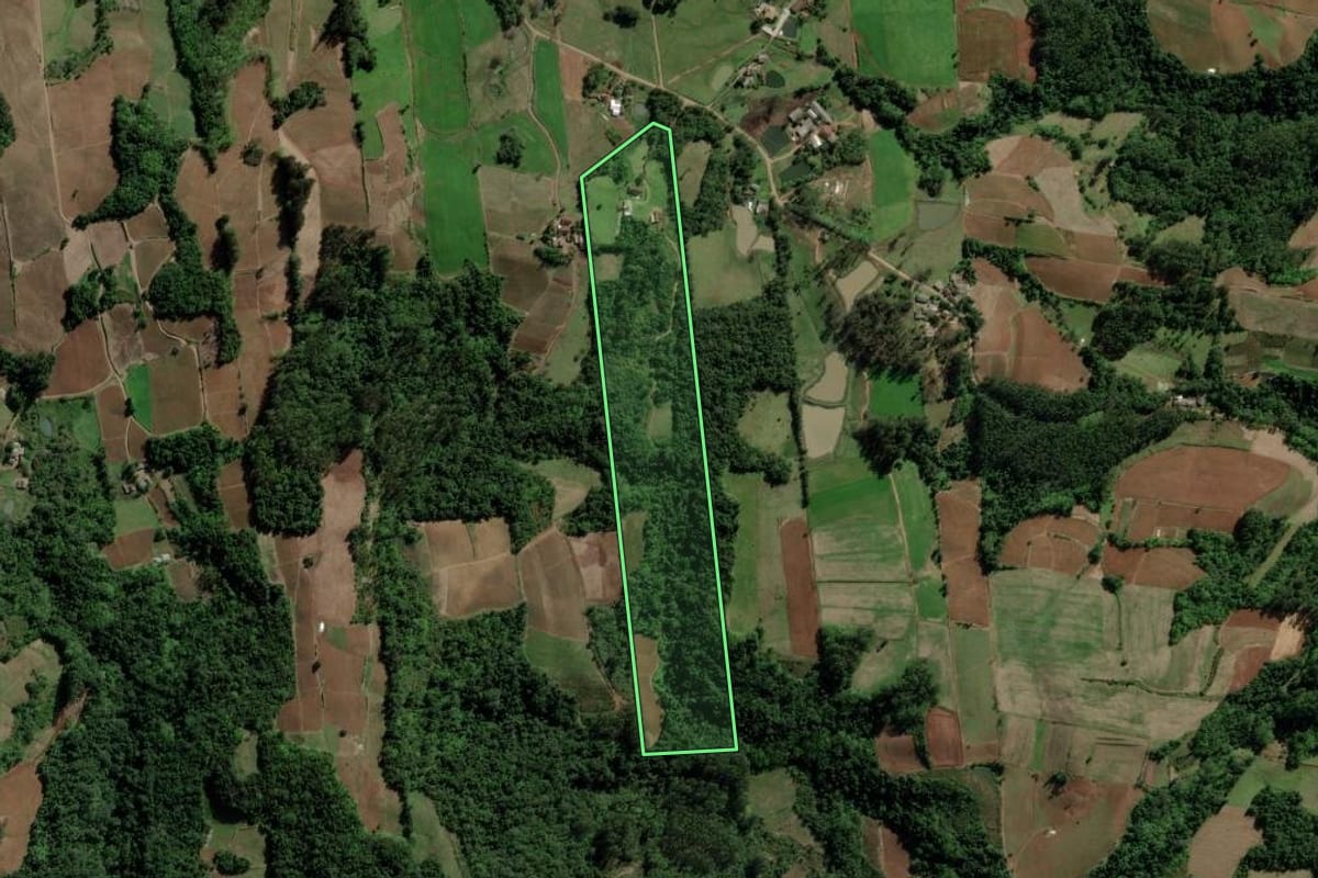 Imagem de satélite do imóvel rural em Santa Cruz do Sul (RS), com o contorno declarado no CAR desenhado por cima.