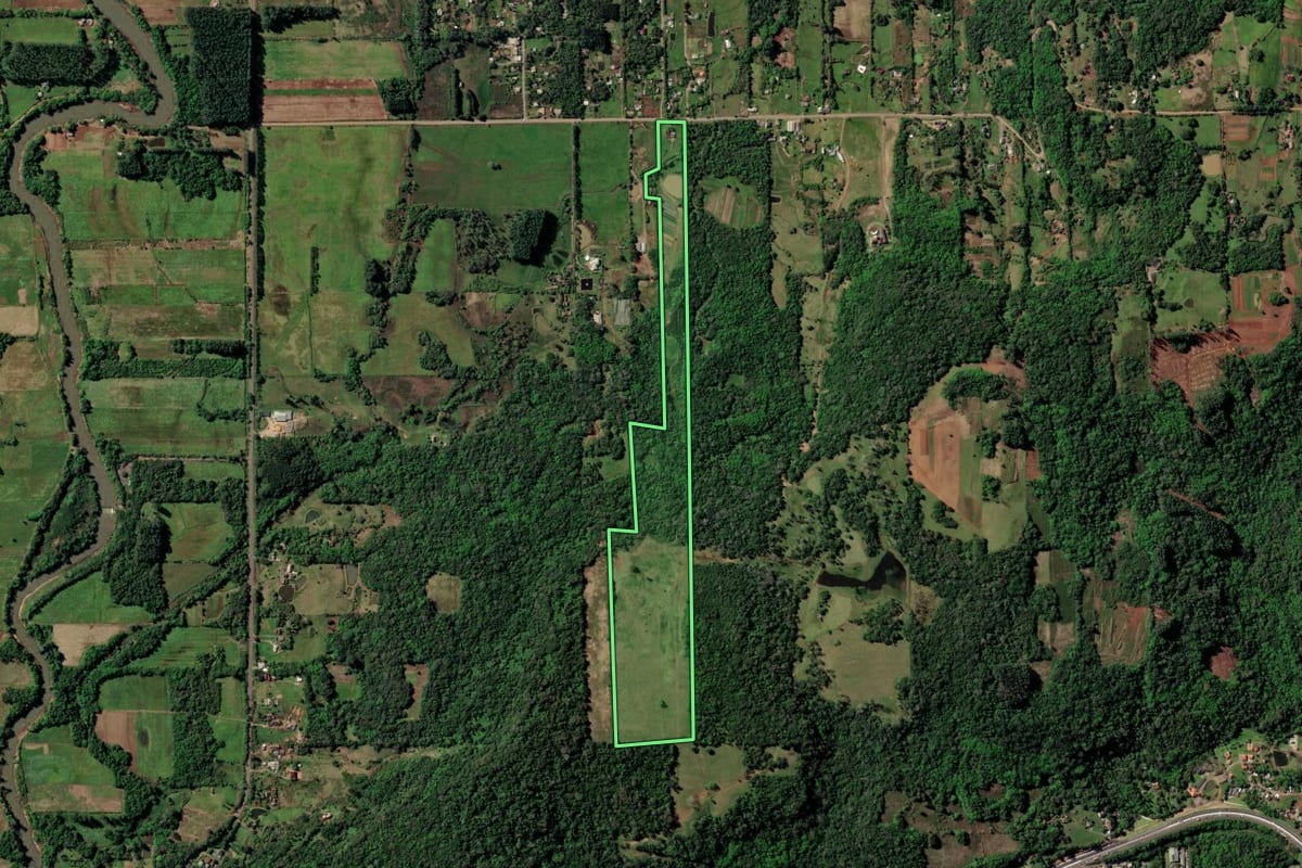 Imagem de satélite do imóvel rural em Santa Cruz do Sul (RS), com o contorno declarado no CAR desenhado por cima.