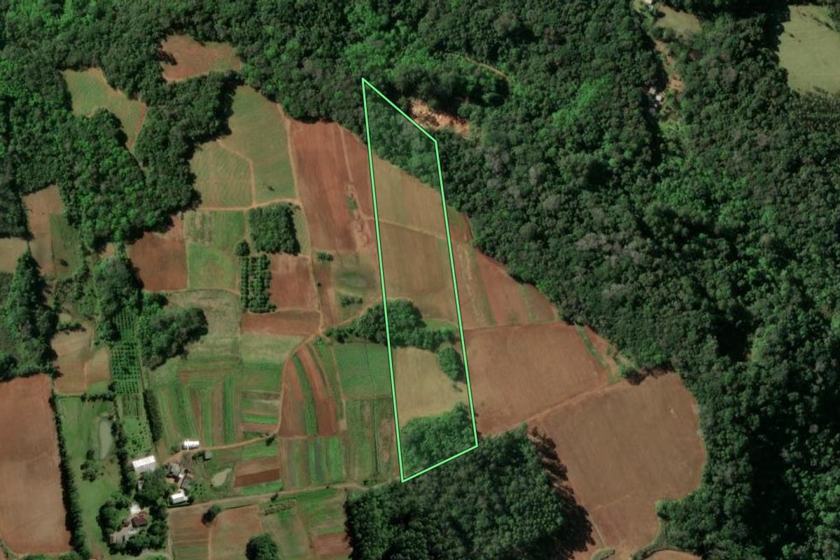 Imagem de satélite do imóvel rural em Santa Cruz do Sul (RS), com o contorno declarado no CAR desenhado por cima.
