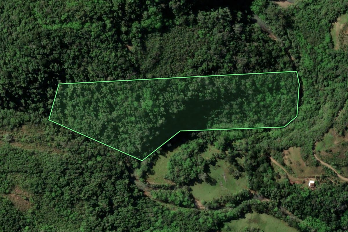 Imagem de satélite do imóvel rural em Santa Cruz do Sul (RS), com o contorno declarado no CAR desenhado por cima.