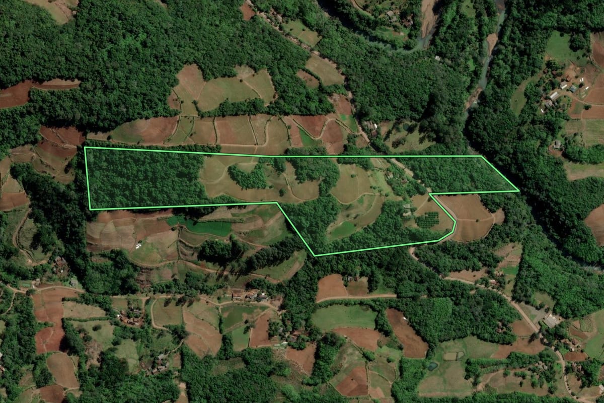 Imagem de satélite do imóvel rural em Santa Cruz do Sul (RS), com o contorno declarado no CAR desenhado por cima.