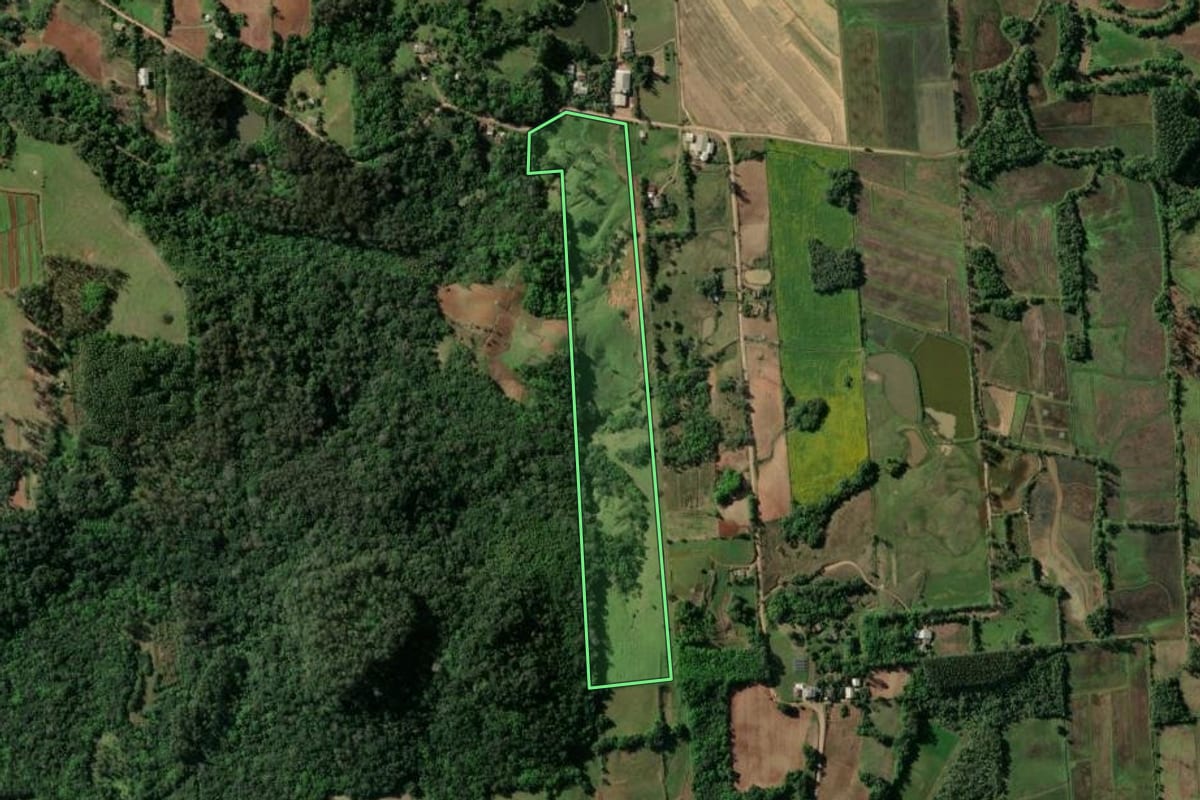 Imagem de satélite do imóvel rural em Santa Cruz do Sul (RS), com o contorno declarado no CAR desenhado por cima.
