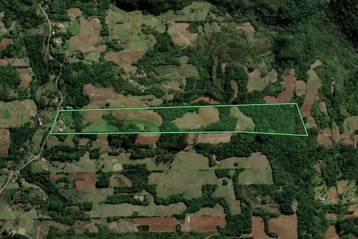 Imagem de satélite do imóvel rural em Santa Cruz do Sul (RS), com o contorno declarado no CAR desenhado por cima.
