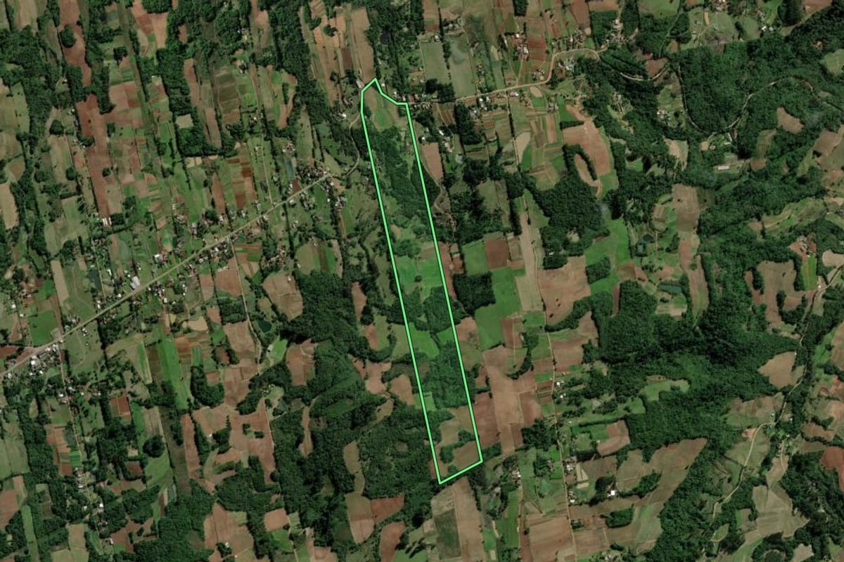 Imagem de satélite do imóvel rural em Santa Cruz do Sul (RS), com o contorno declarado no CAR desenhado por cima.