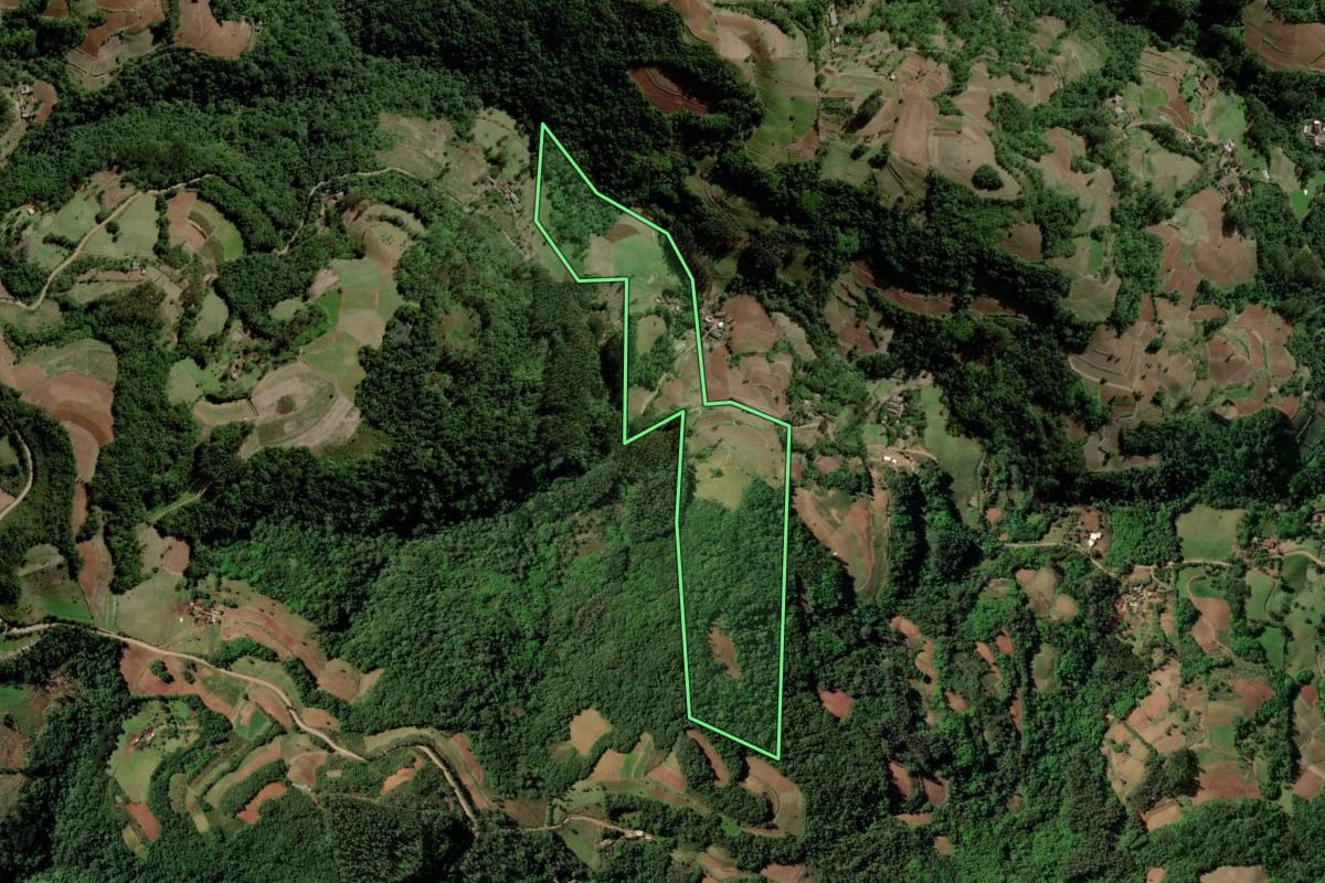 Imagem de satélite do imóvel rural em Santa Cruz do Sul (RS), com o contorno declarado no CAR desenhado por cima.