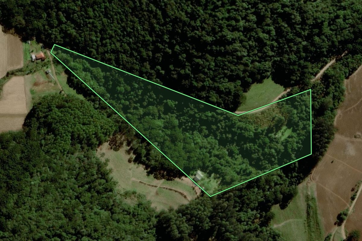 Imagem de satélite do imóvel rural em Santa Cruz do Sul (RS), com o contorno declarado no CAR desenhado por cima.