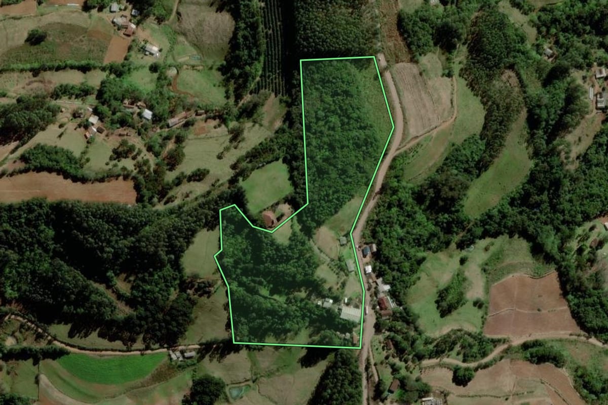 Imagem de satélite do imóvel rural em Santa Cruz do Sul (RS), com o contorno declarado no CAR desenhado por cima.
