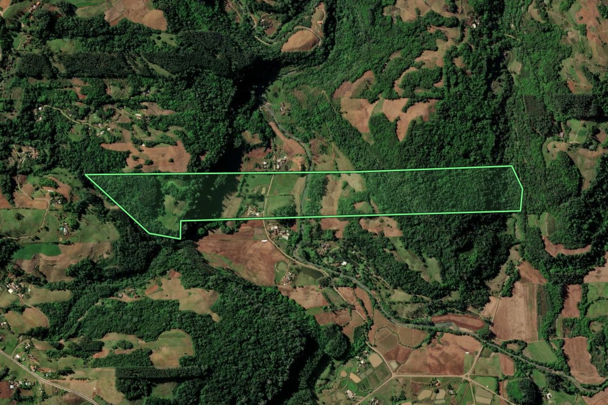 Imagem de satélite do imóvel rural em Santa Cruz do Sul (RS), com o contorno declarado no CAR desenhado por cima.