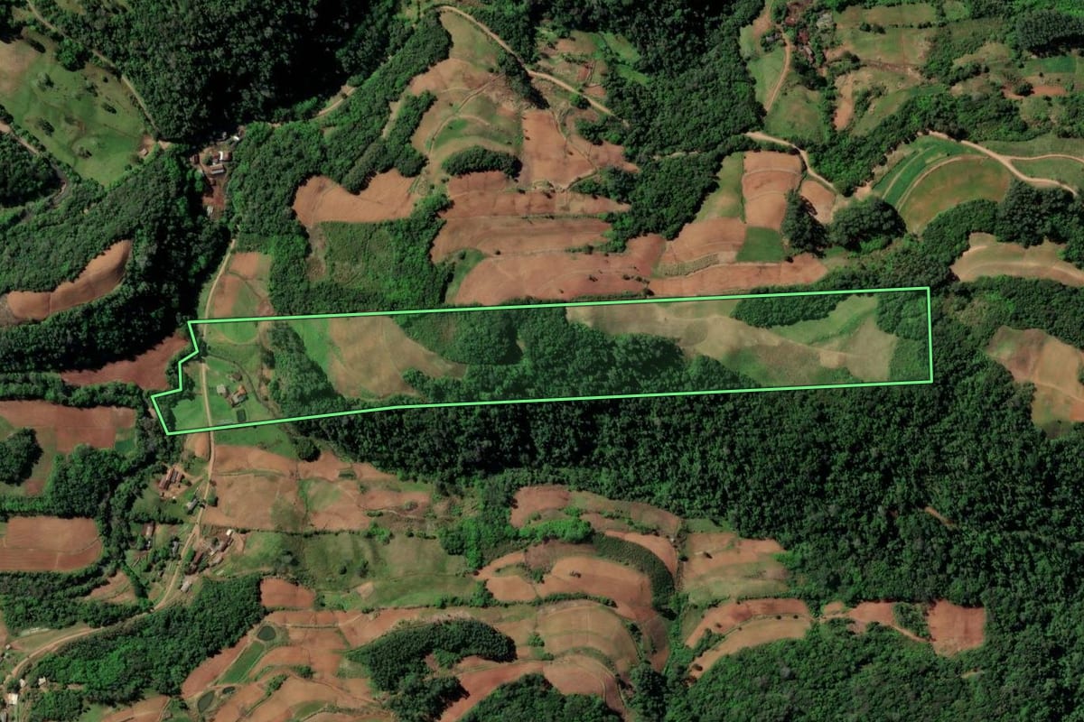 Imagem de satélite do imóvel rural em Santa Cruz do Sul (RS), com o contorno declarado no CAR desenhado por cima.