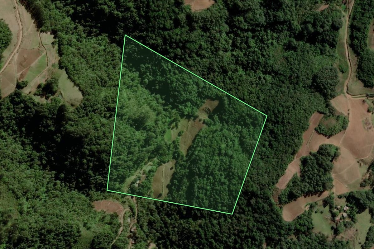 Imagem de satélite do imóvel rural em Santa Cruz do Sul (RS), com o contorno declarado no CAR desenhado por cima.
