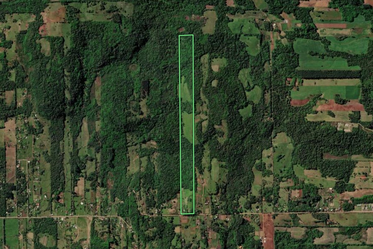 Imagem de satélite do imóvel rural em Santa Cruz do Sul (RS), com o contorno declarado no CAR desenhado por cima.
