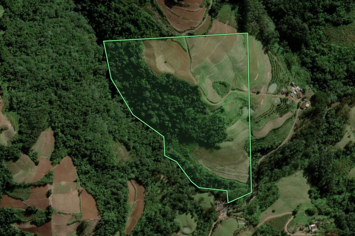 Imagem de satélite do imóvel rural em Santa Cruz do Sul (RS), com o contorno declarado no CAR desenhado por cima.