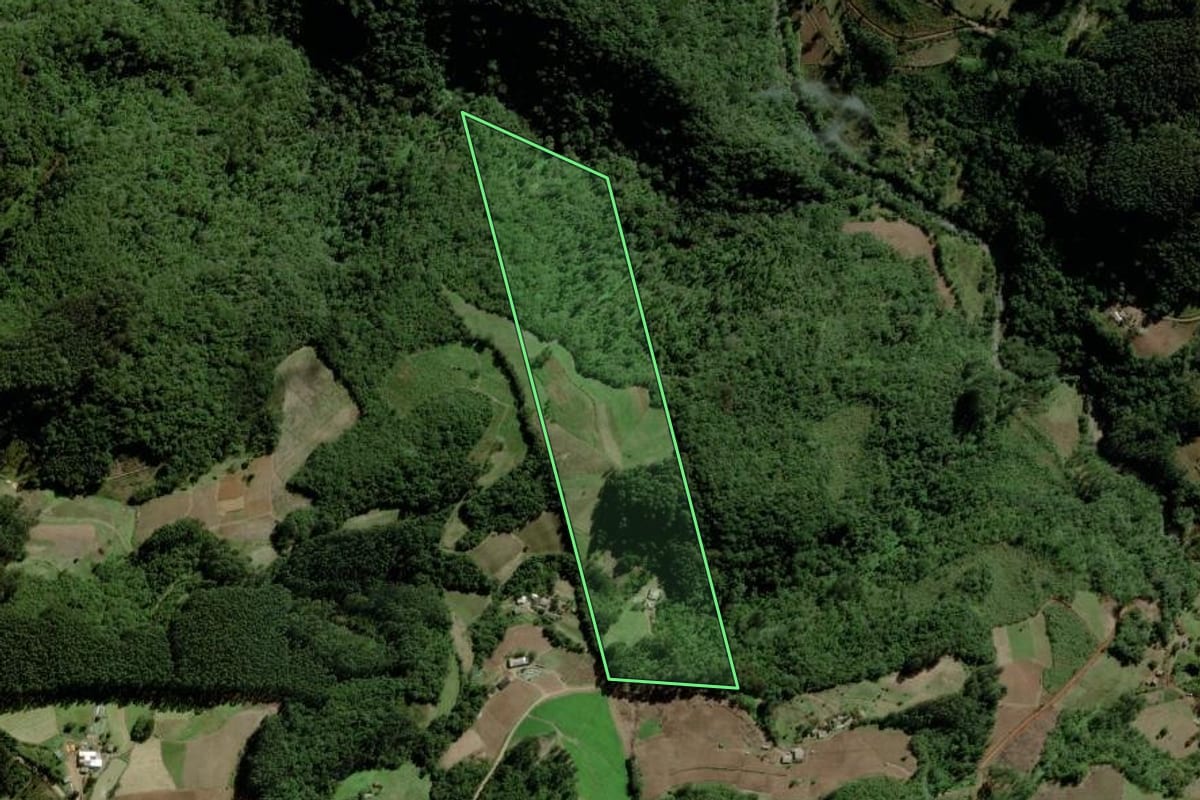 Imagem de satélite do imóvel rural em Santa Cruz do Sul (RS), com o contorno declarado no CAR desenhado por cima.