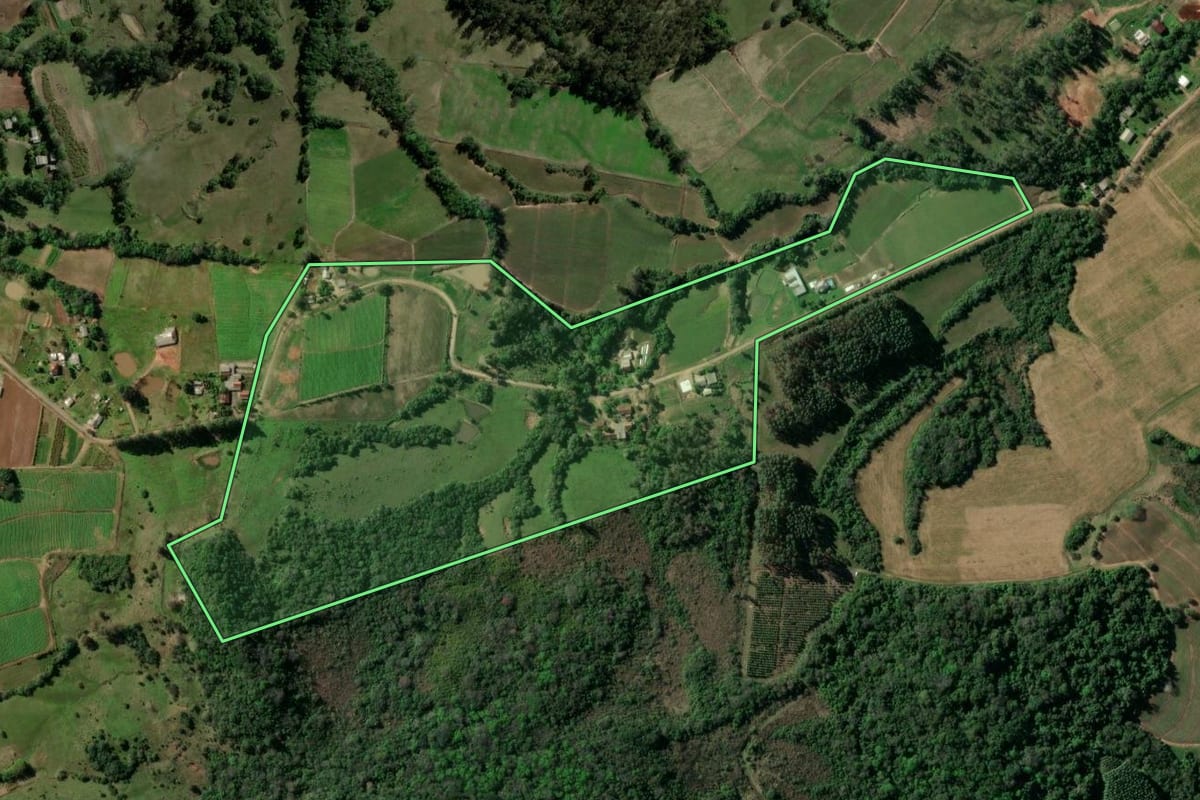 Imagem de satélite do imóvel rural em Santa Cruz do Sul (RS), com o contorno declarado no CAR desenhado por cima.
