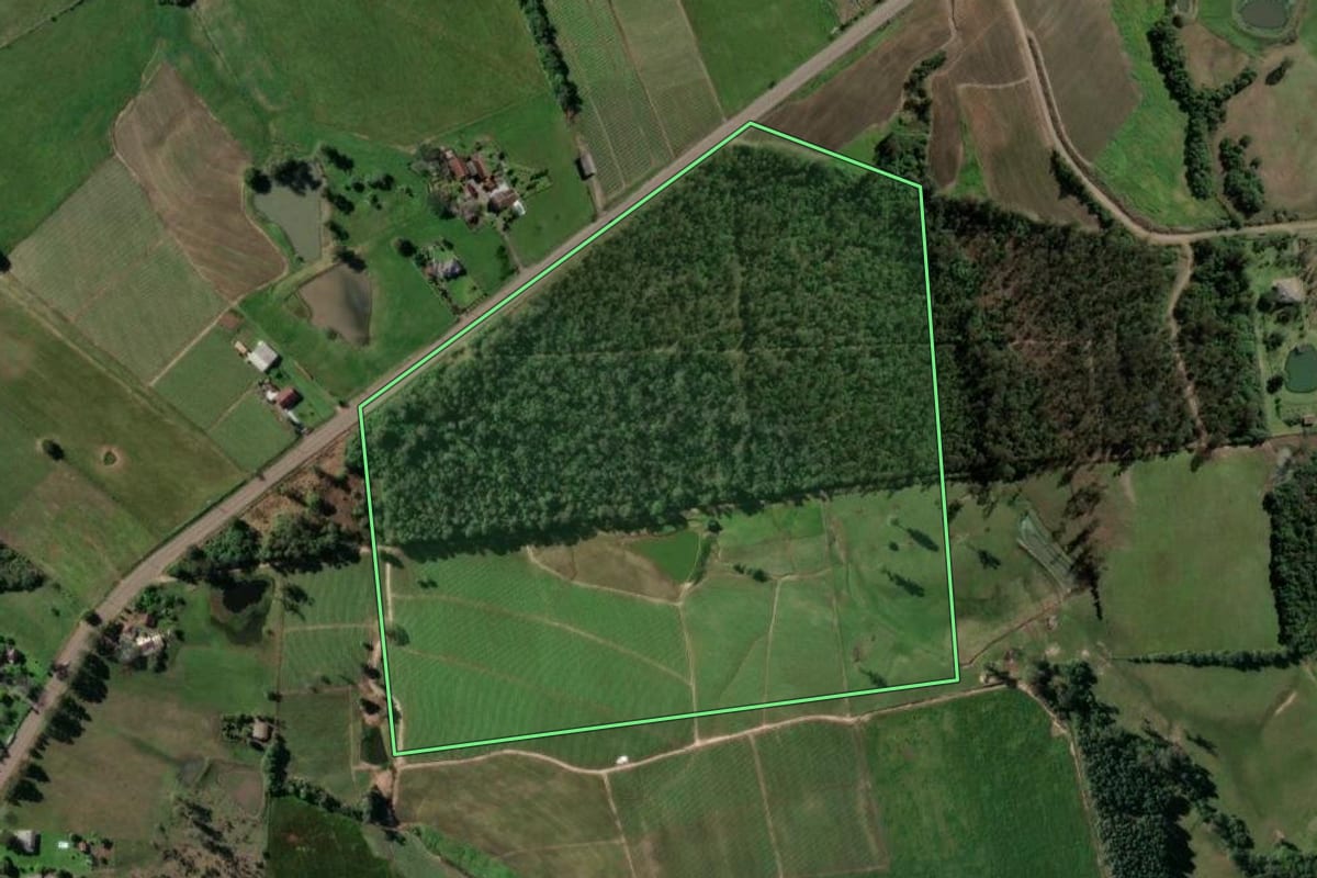 Imagem de satélite do imóvel rural em Santa Cruz do Sul (RS), com o contorno declarado no CAR desenhado por cima.