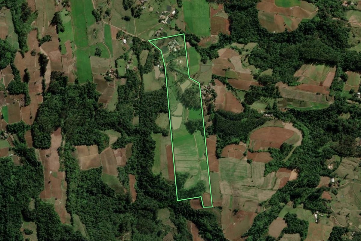 Imagem de satélite do imóvel rural em Santa Cruz do Sul (RS), com o contorno declarado no CAR desenhado por cima.