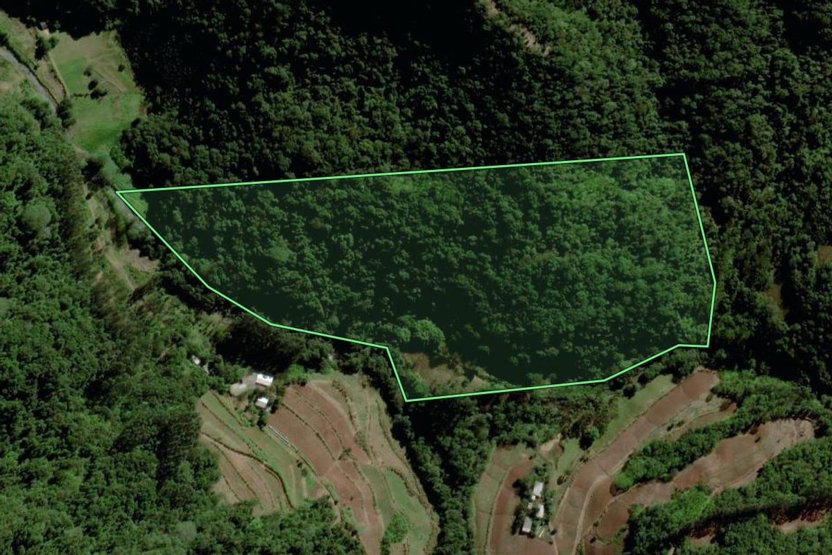 Imagem de satélite do imóvel rural em Santa Cruz do Sul (RS), com o contorno declarado no CAR desenhado por cima.