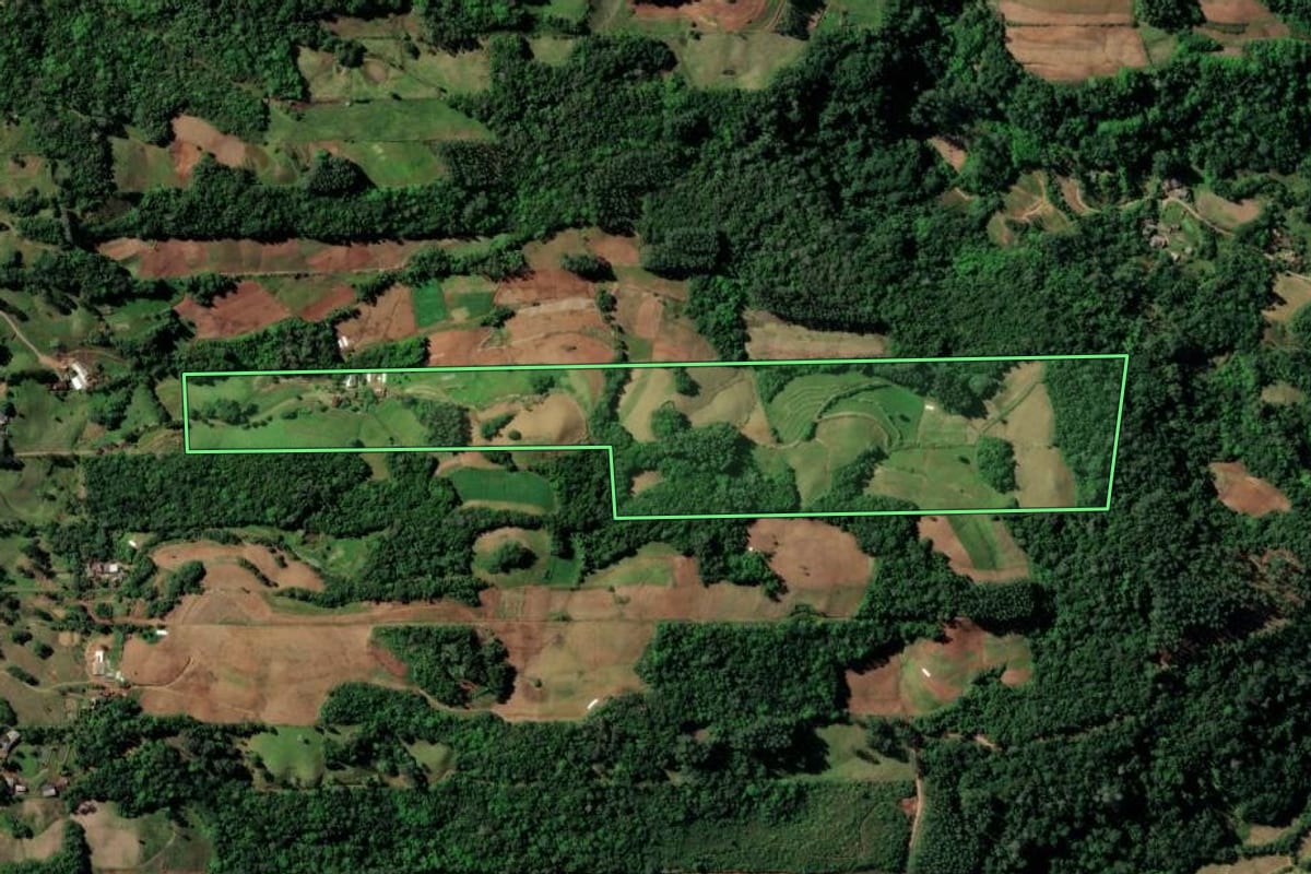Imagem de satélite do imóvel rural em Santa Cruz do Sul (RS), com o contorno declarado no CAR desenhado por cima.