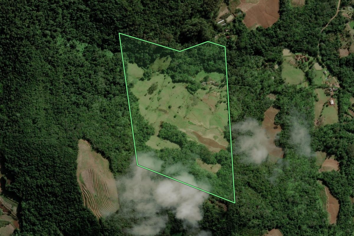 Imagem de satélite do imóvel rural em Santa Cruz do Sul (RS), com o contorno declarado no CAR desenhado por cima.
