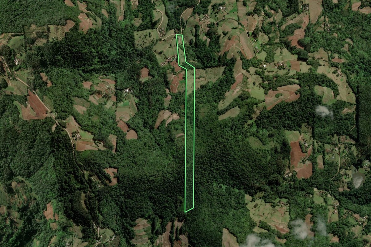 Imagem de satélite do imóvel rural em Santa Cruz do Sul (RS), com o contorno declarado no CAR desenhado por cima.