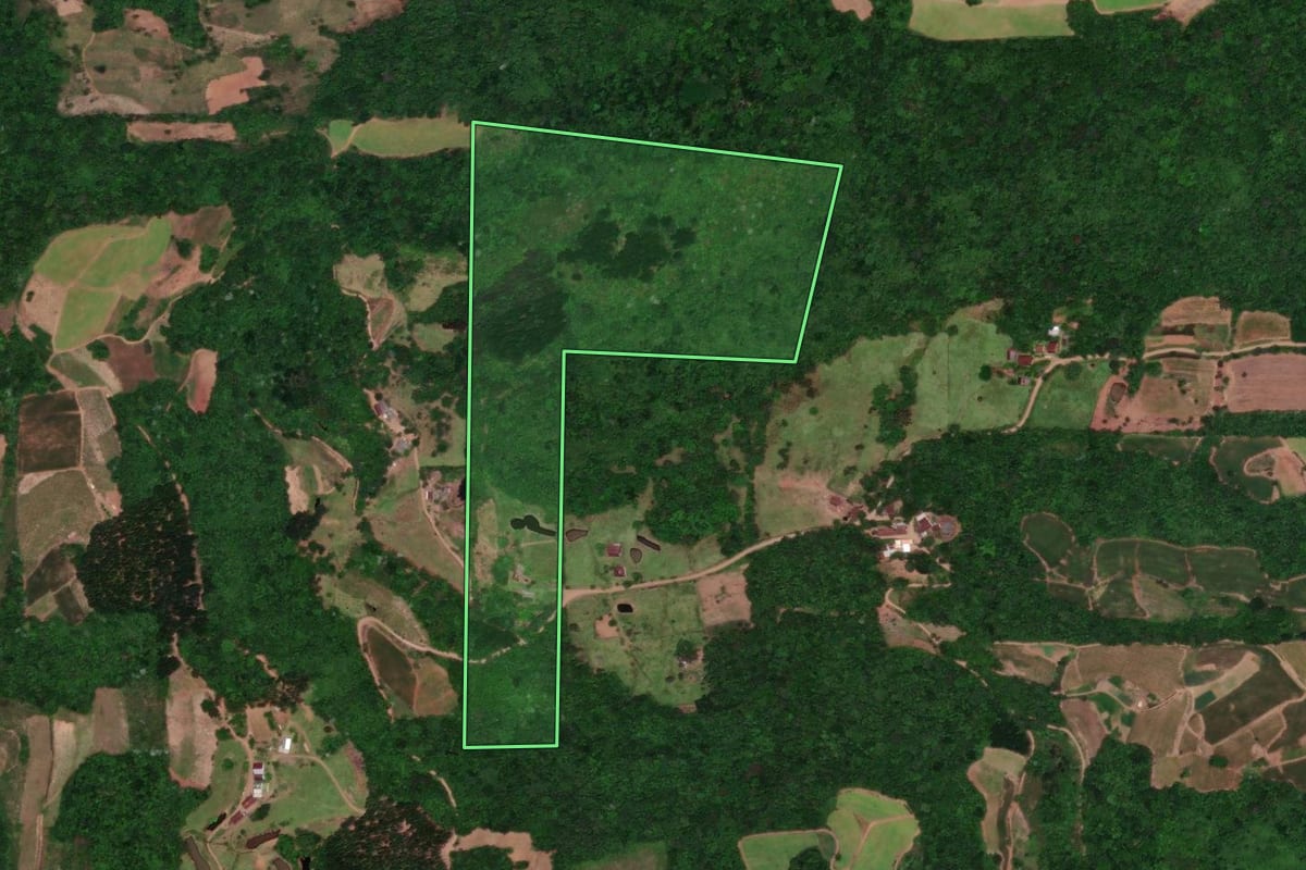 Imagem de satélite do imóvel rural em Santa Cruz do Sul (RS), com o contorno declarado no CAR desenhado por cima.