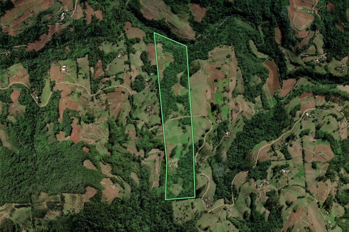 Imagem de satélite do imóvel rural em Santa Cruz do Sul (RS), com o contorno declarado no CAR desenhado por cima.