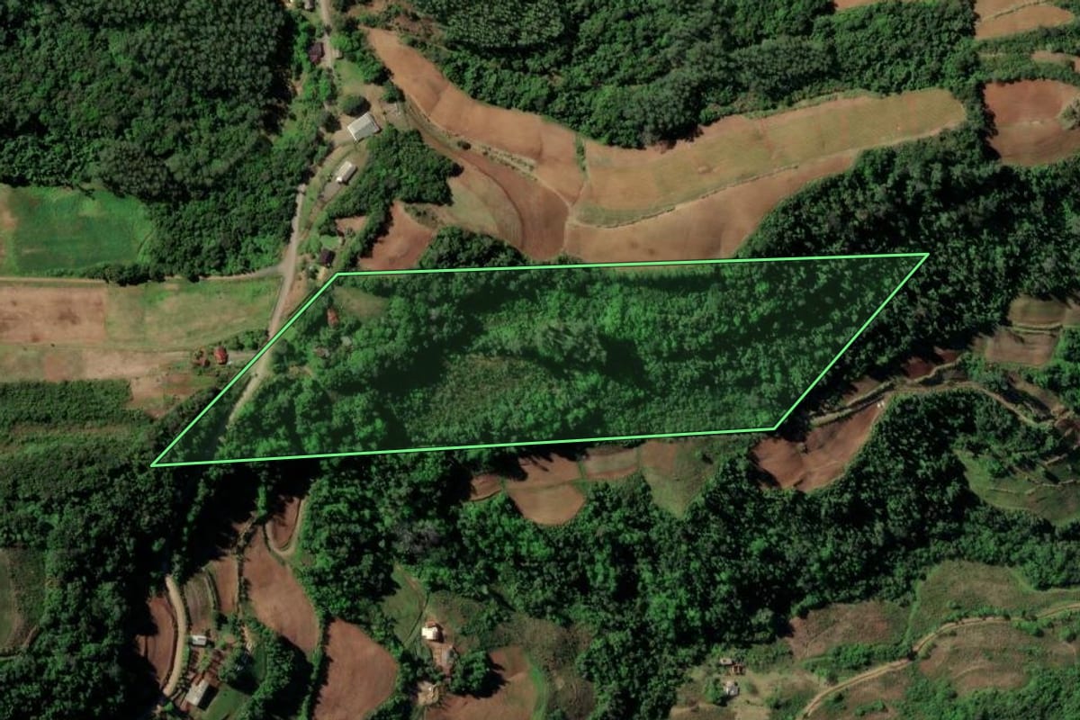 Imagem de satélite do imóvel rural em Santa Cruz do Sul (RS), com o contorno declarado no CAR desenhado por cima.