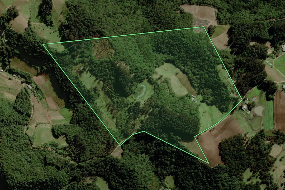 Imagem de satélite do imóvel rural em Santa Cruz do Sul (RS), com o contorno declarado no CAR desenhado por cima.