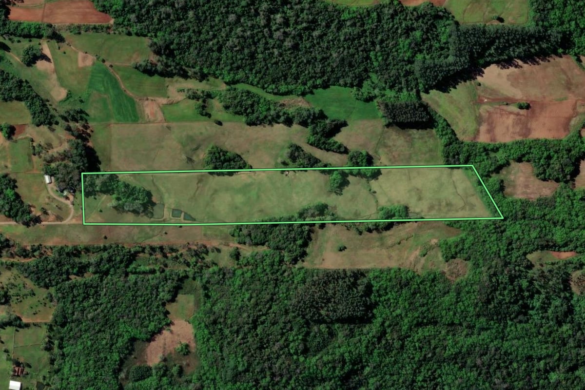 Imagem de satélite do imóvel rural em Santa Cruz do Sul (RS), com o contorno declarado no CAR desenhado por cima.