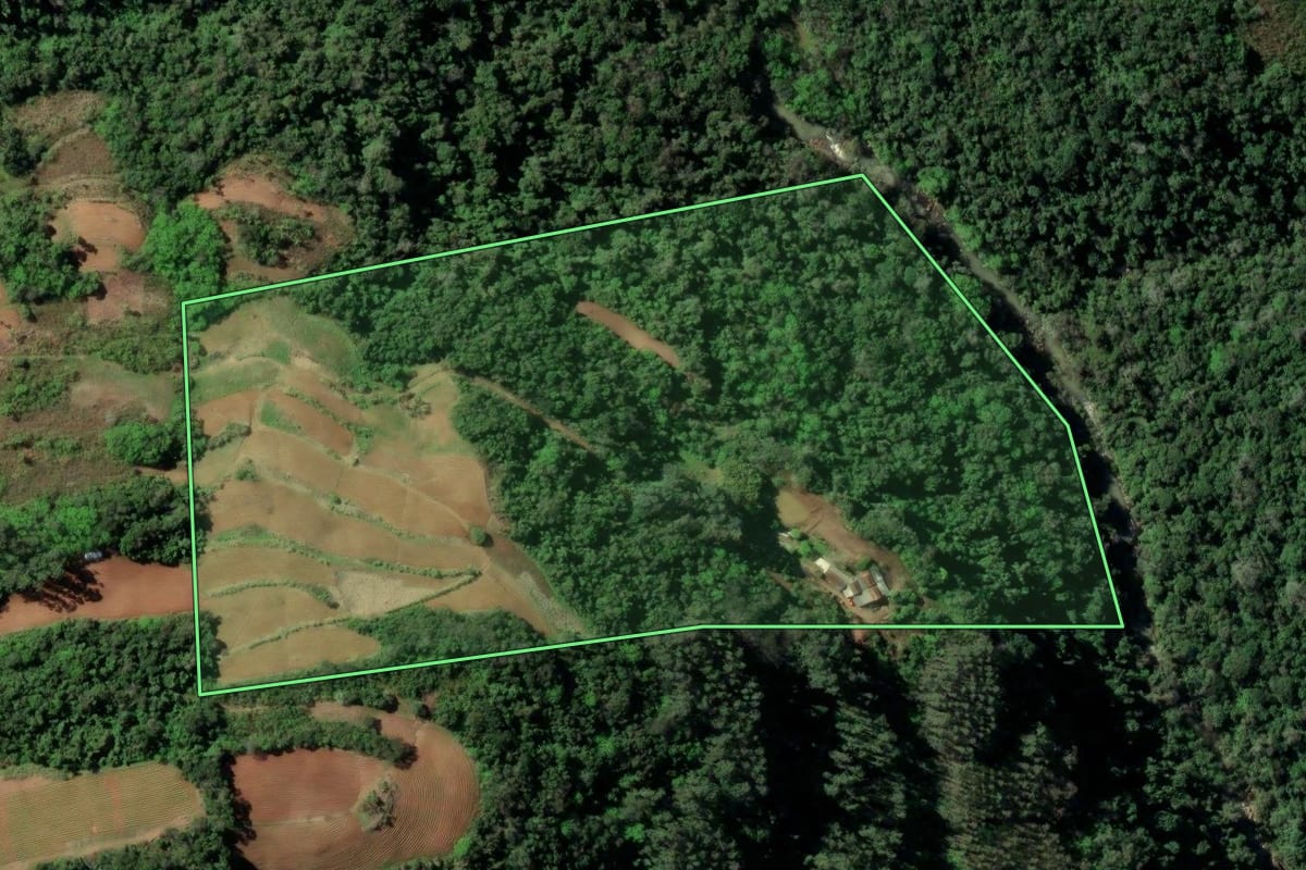 Imagem de satélite do imóvel rural em Santa Cruz do Sul (RS), com o contorno declarado no CAR desenhado por cima.
