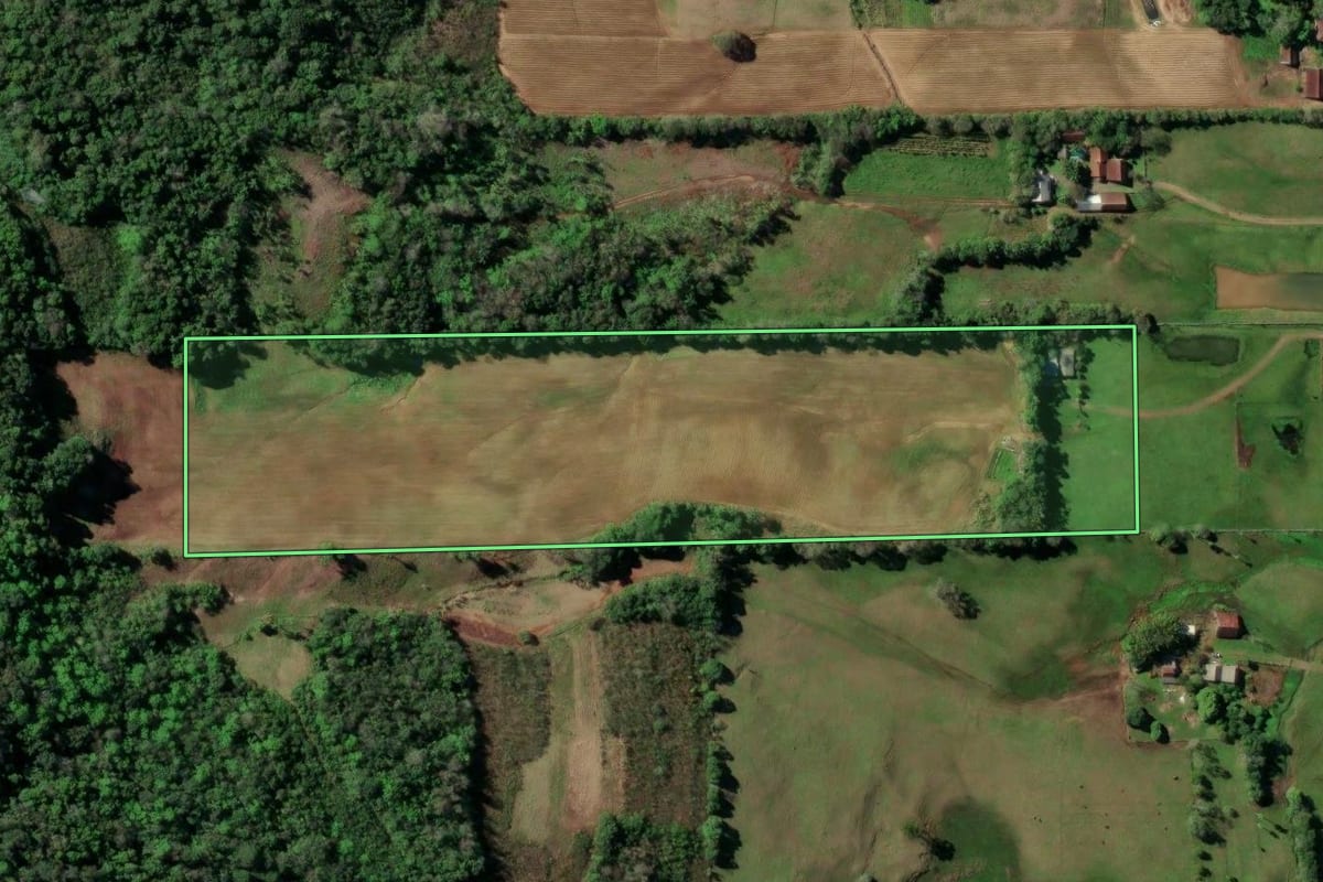 Imagem de satélite do imóvel rural em Santa Cruz do Sul (RS), com o contorno declarado no CAR desenhado por cima.