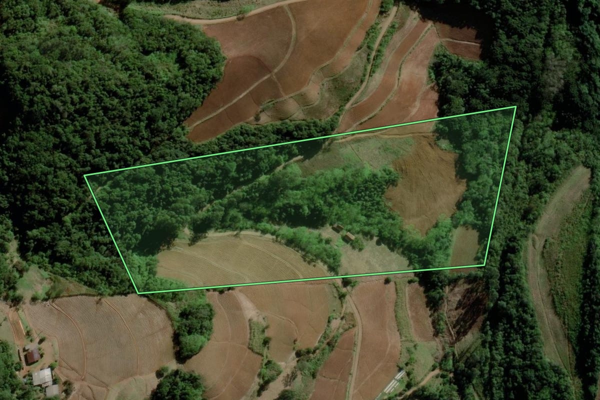 Imagem de satélite do imóvel rural em Santa Cruz do Sul (RS), com o contorno declarado no CAR desenhado por cima.
