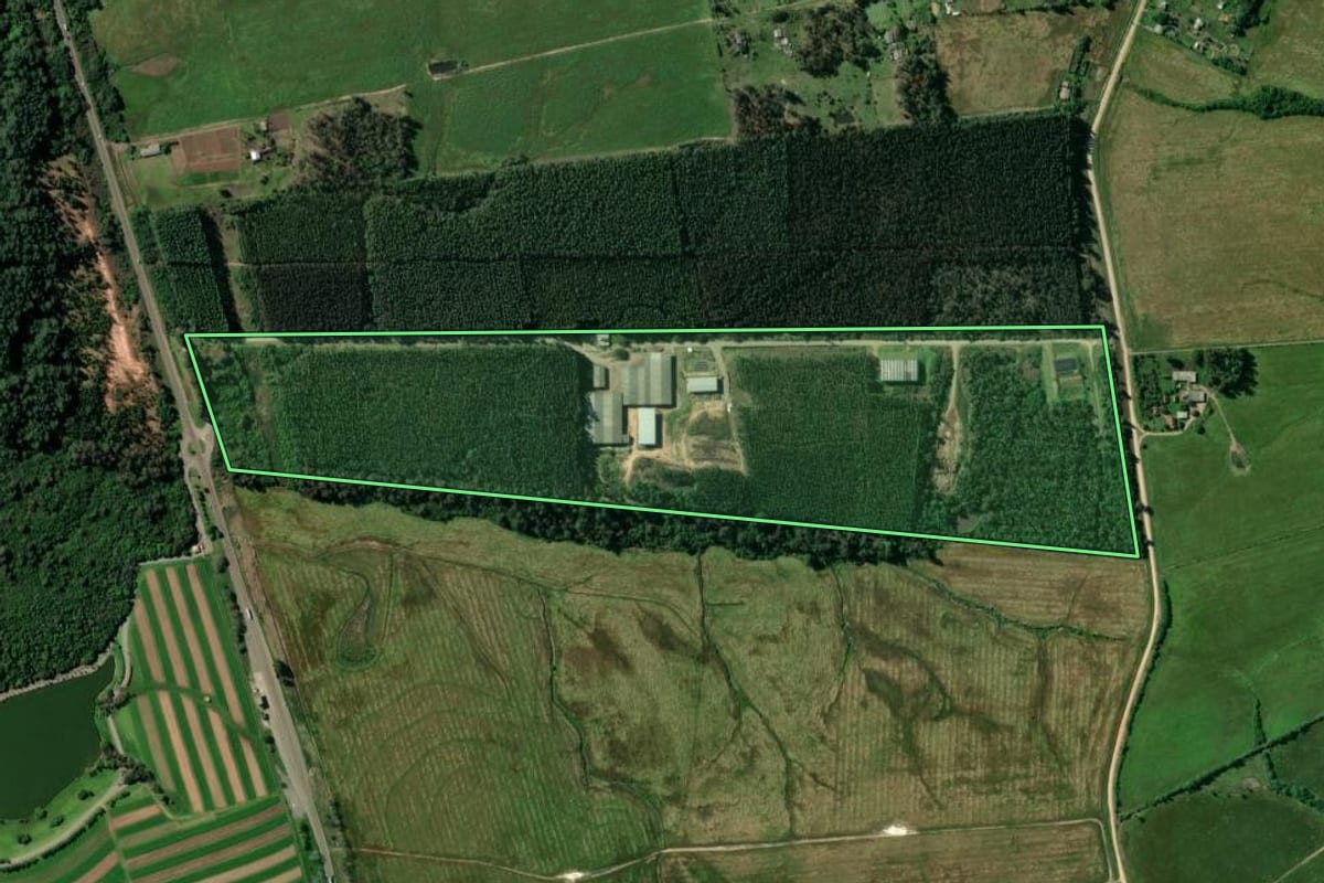 Imagem de satélite do imóvel rural em Santa Cruz do Sul (RS), com o contorno declarado no CAR desenhado por cima.