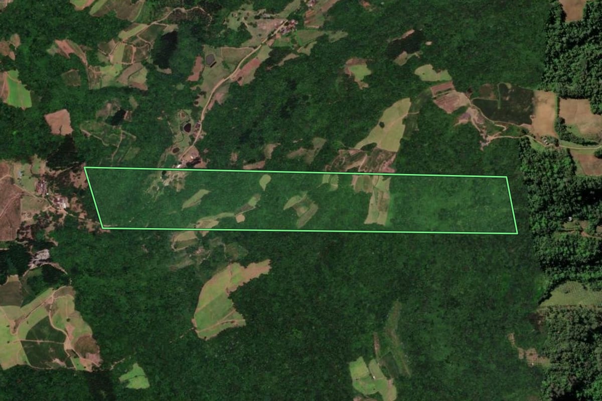 Imagem de satélite do imóvel rural em Santa Cruz do Sul (RS), com o contorno declarado no CAR desenhado por cima.