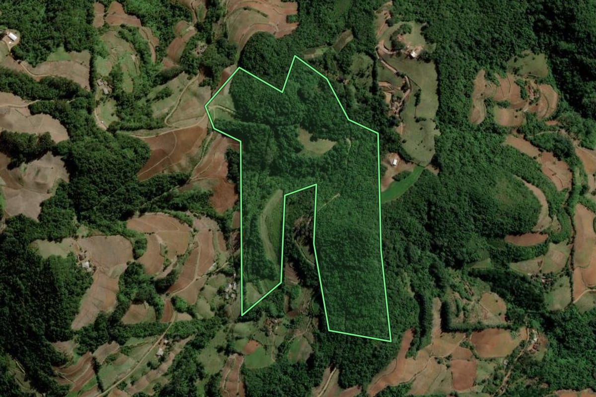 Imagem de satélite do imóvel rural em Santa Cruz do Sul (RS), com o contorno declarado no CAR desenhado por cima.