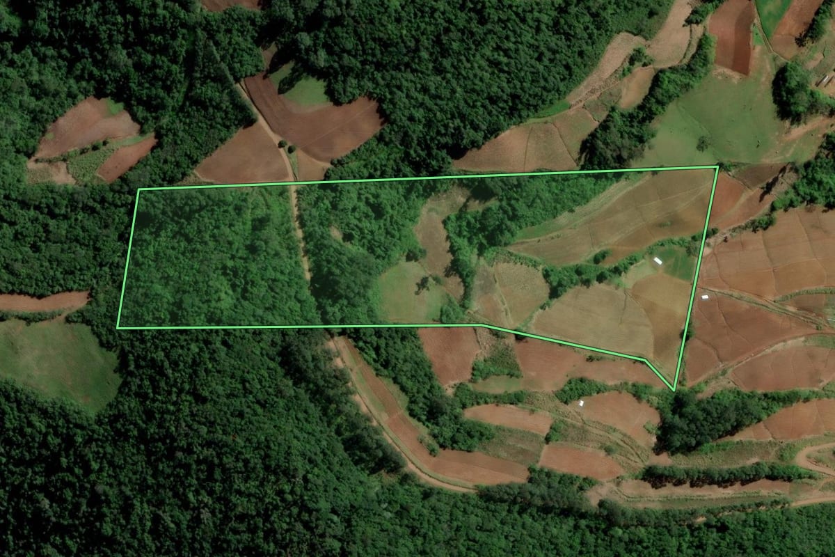 Imagem de satélite do imóvel rural em Santa Cruz do Sul (RS), com o contorno declarado no CAR desenhado por cima.