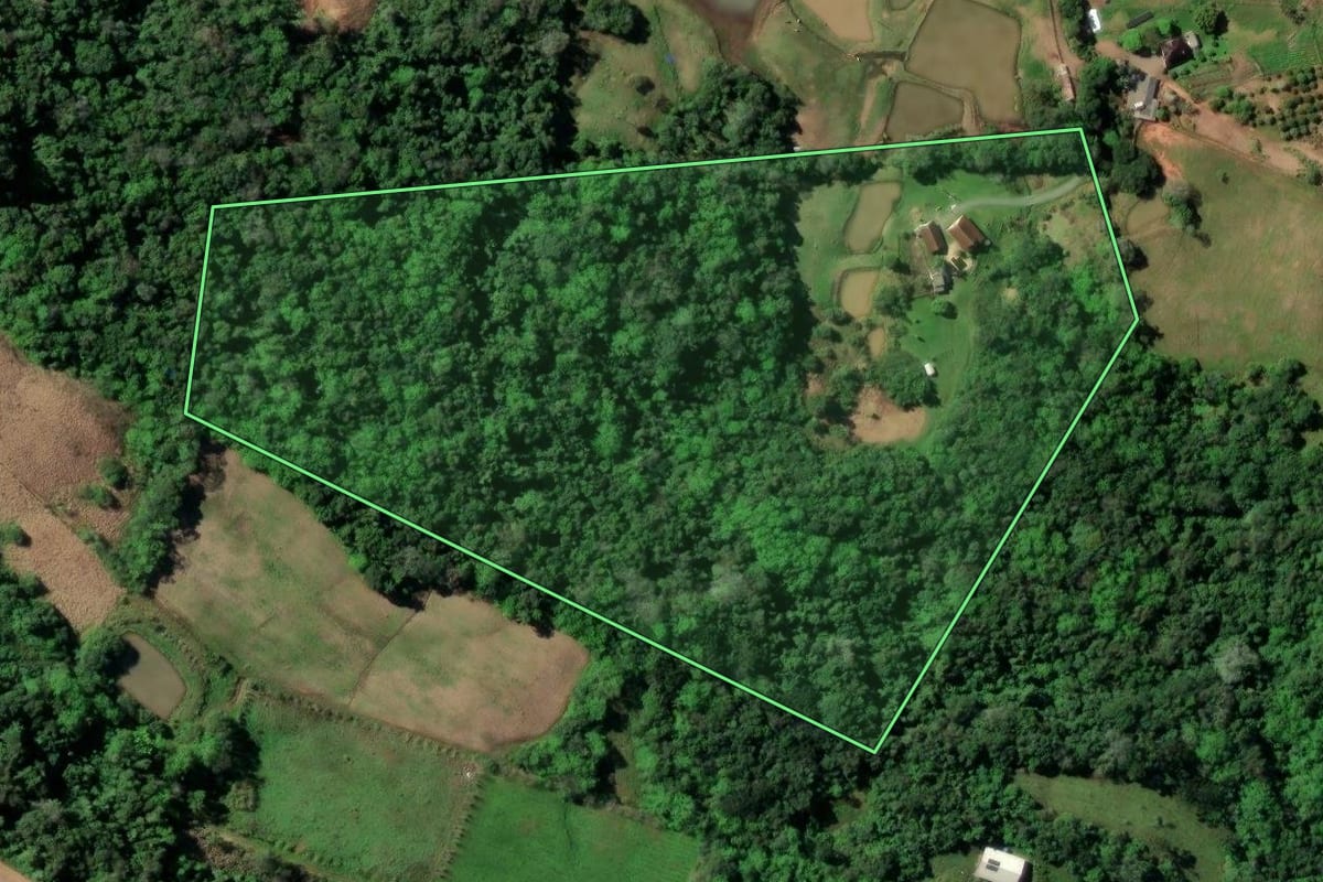 Imagem de satélite do imóvel rural em Santa Cruz do Sul (RS), com o contorno declarado no CAR desenhado por cima.