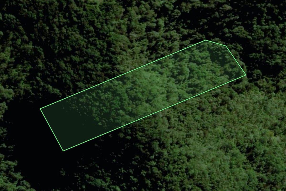 Imagem de satélite do imóvel rural em Santa Cruz do Sul (RS), com o contorno declarado no CAR desenhado por cima.