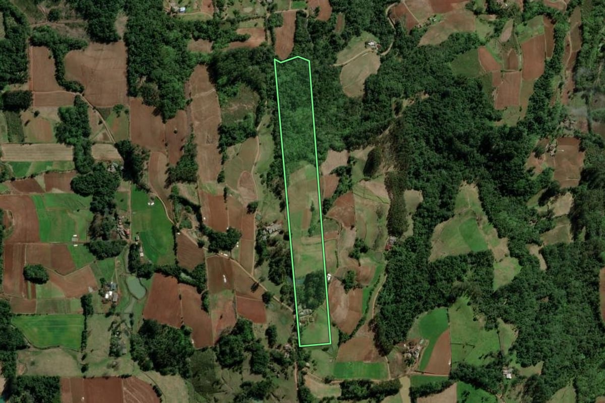 Imagem de satélite do imóvel rural em Santa Cruz do Sul (RS), com o contorno declarado no CAR desenhado por cima.