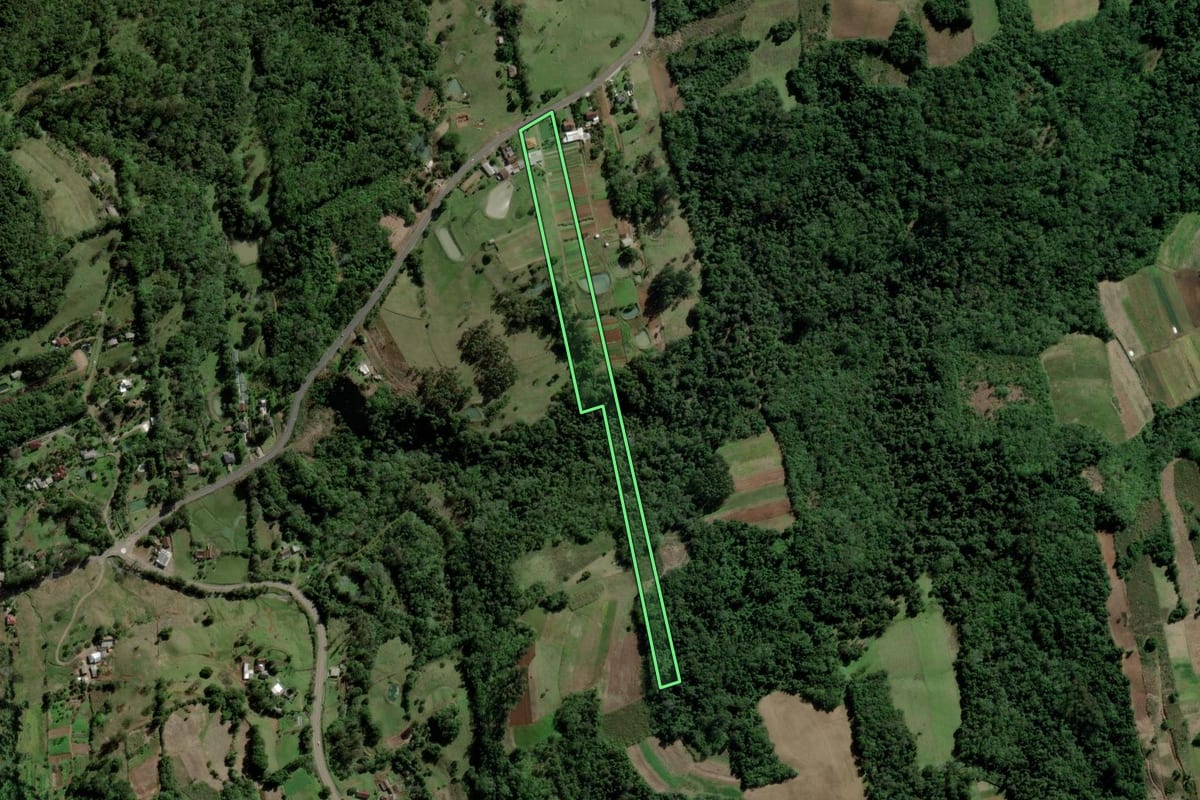 Imagem de satélite do imóvel rural em Santa Cruz do Sul (RS), com o contorno declarado no CAR desenhado por cima.