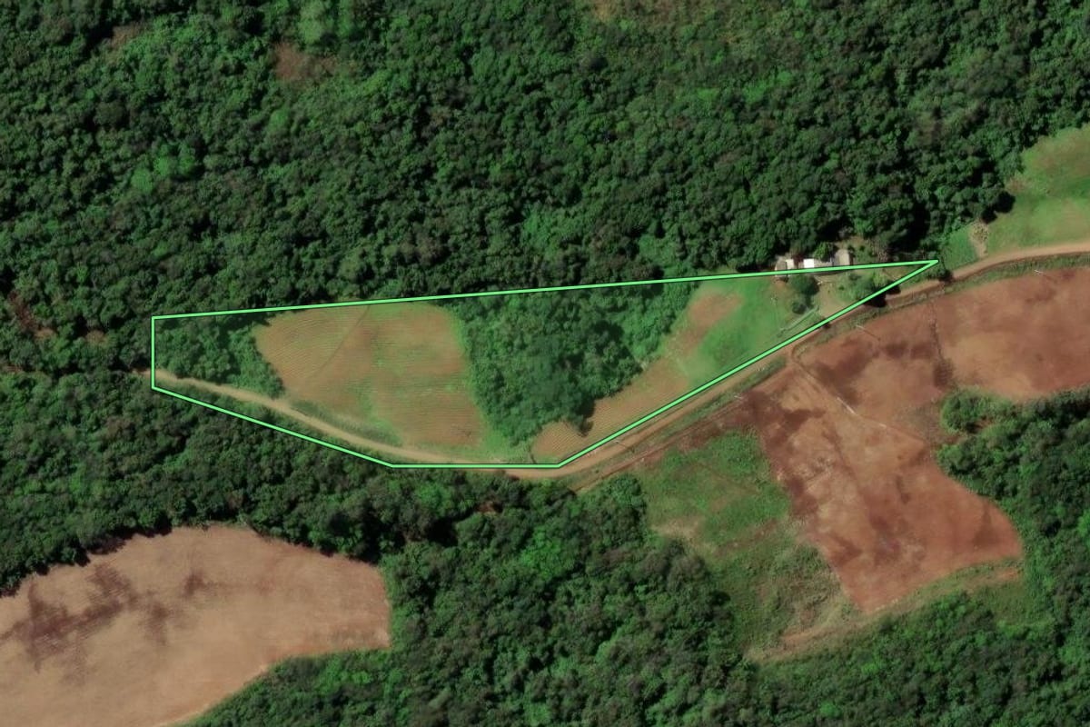 Imagem de satélite do imóvel rural em Santa Cruz do Sul (RS), com o contorno declarado no CAR desenhado por cima.