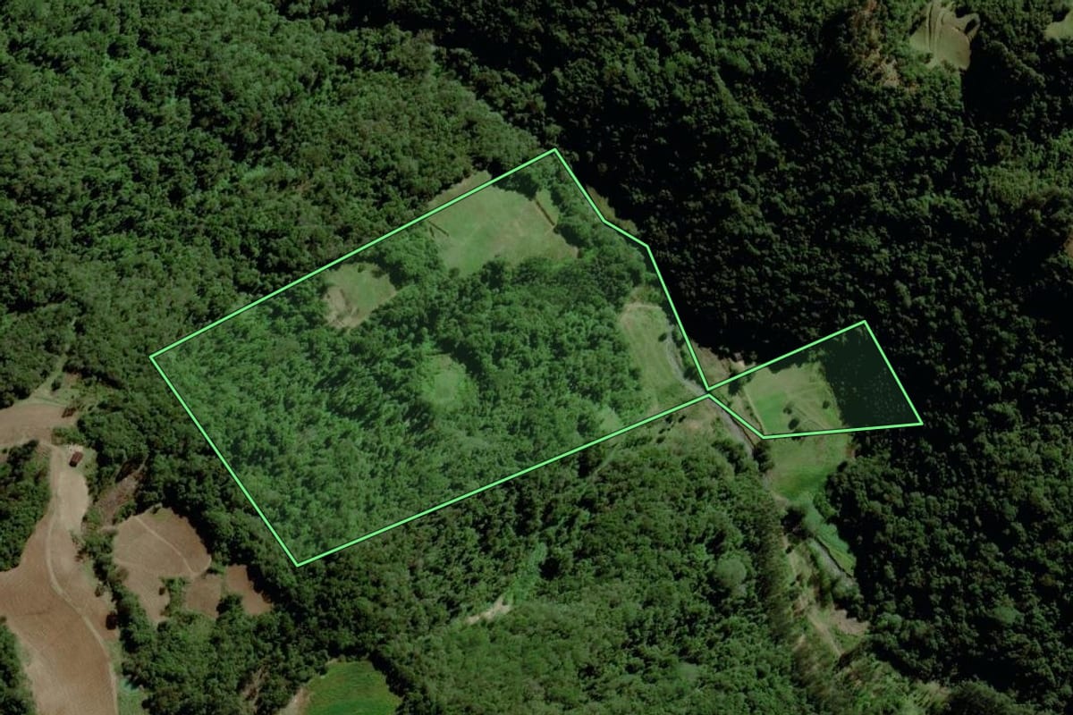 Imagem de satélite do imóvel rural em Santa Cruz do Sul (RS), com o contorno declarado no CAR desenhado por cima.